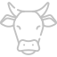 Chondro Heifers