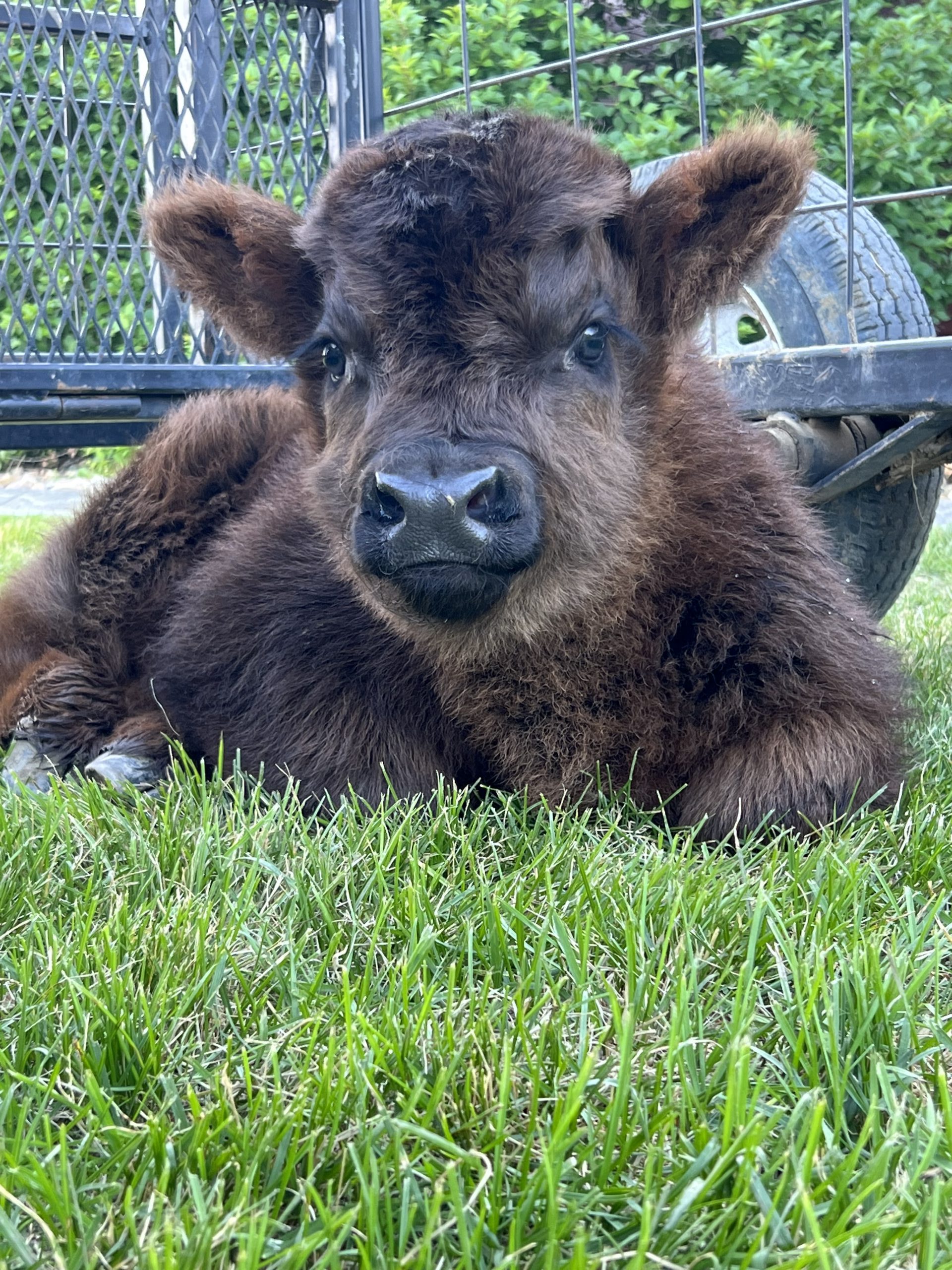 Molly Mae